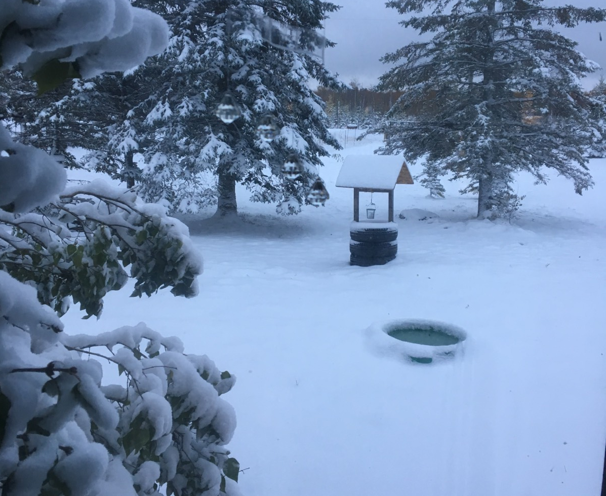 St. Rita, Manitoba.