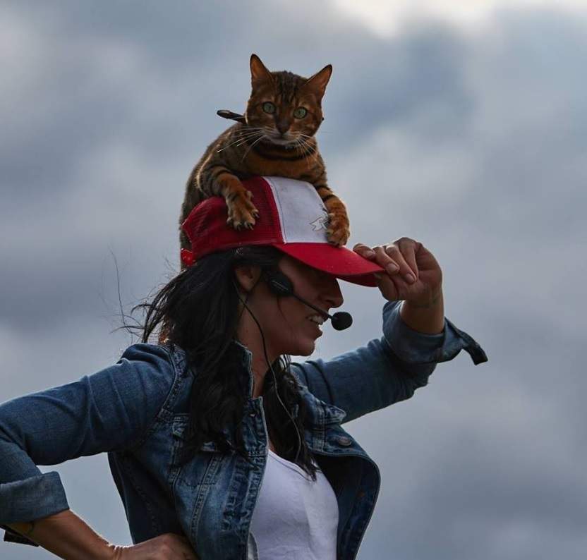 Head trainer of In Dogs We Trust and founder and performer of the stunt dog show Ultimutts trained five felines for the upcoming remake of the film adaptation of Stephen King's Pet Semetary.