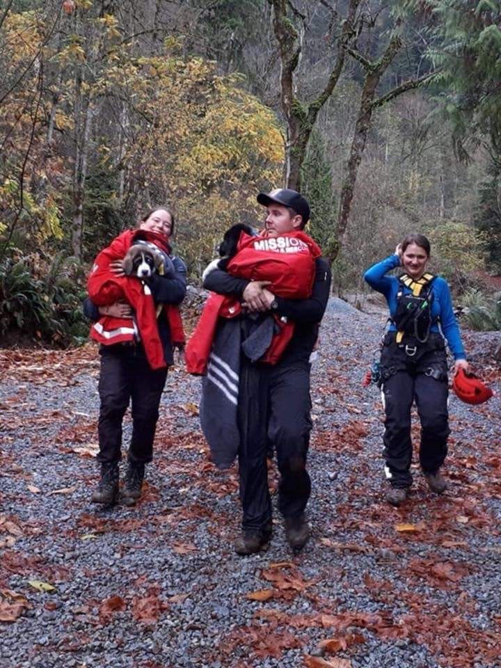Search-and-rescue volunteers with Mission SAR carry two lost puppies out of the backcountry.