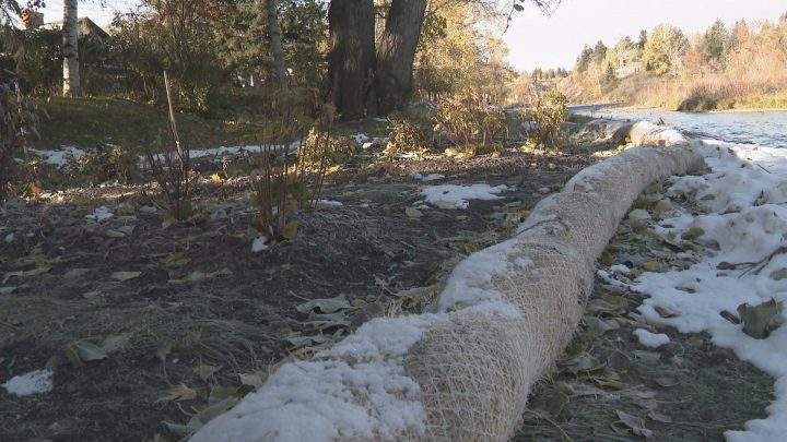 A Calgary group is doing a “river makeover” using plants to protect water quality and save river properties from erosion.