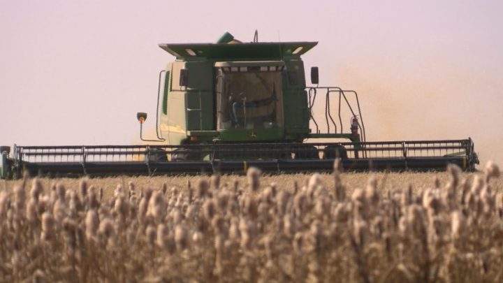 Southern regions are furthest along, with one per cent of the crop combined as harvest operations are underway in Saskatchewan.