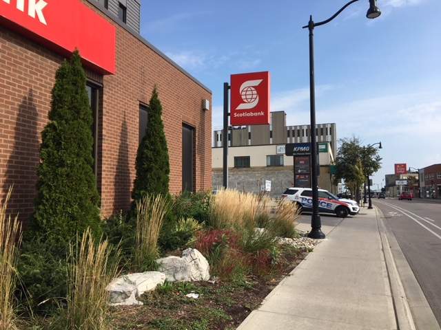 Kingston police were stationed outside of the Scotiabank at 863 Princess St. on Tuesday after a man allegedly robbed the bank.