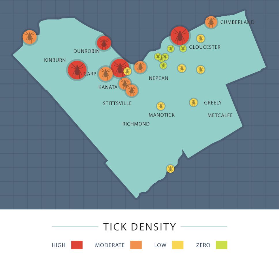 A team of University of Ottawa researchers found black-legged ticks in 16 – or 70 per cent – of 23 sites across the city that they monitored in 2017.