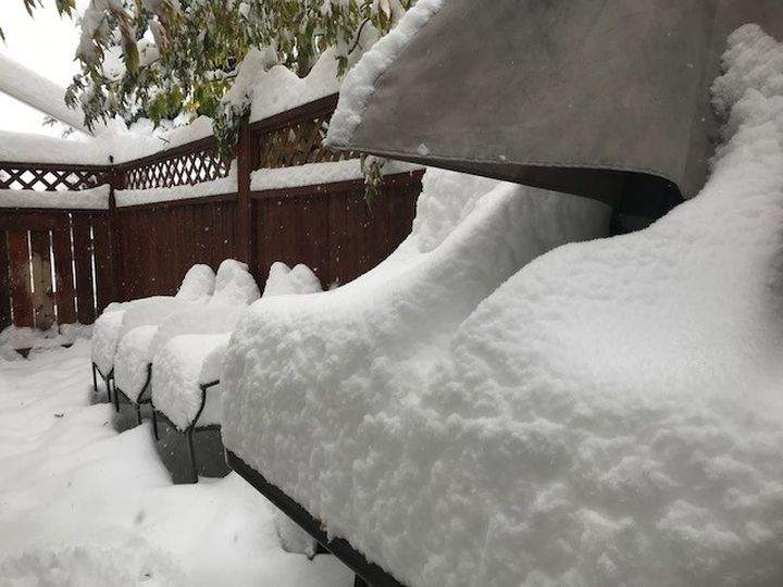 Snow in northwest Calgary Oct. 2, 2018.