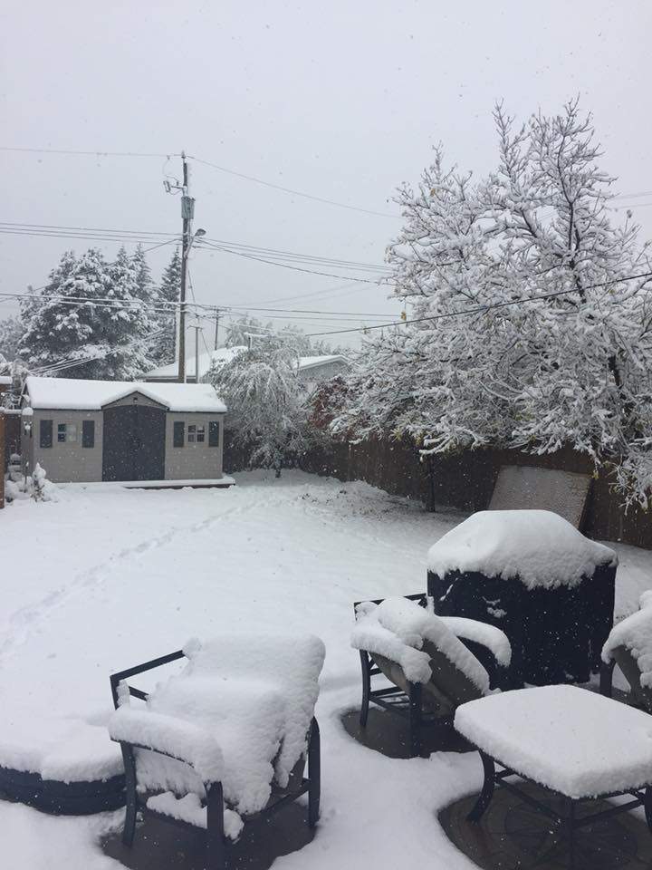 Sparwood. Credit: Christine Fedorek