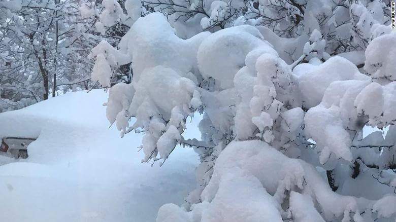 Sparwood. Credit: Tracie Baker Cleggett