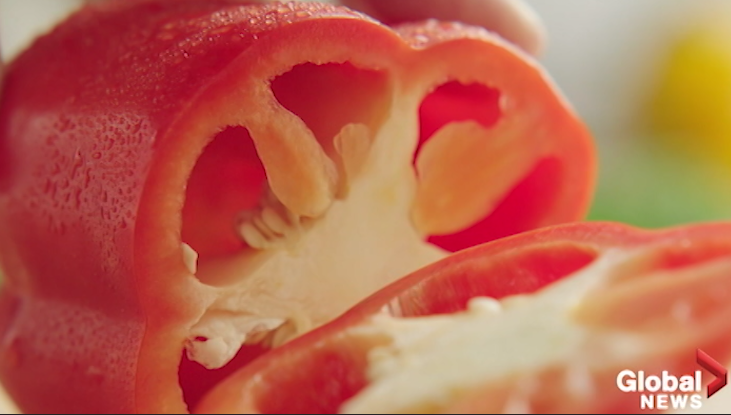 Food for thought: the growing vegan and vegetarian industries - image