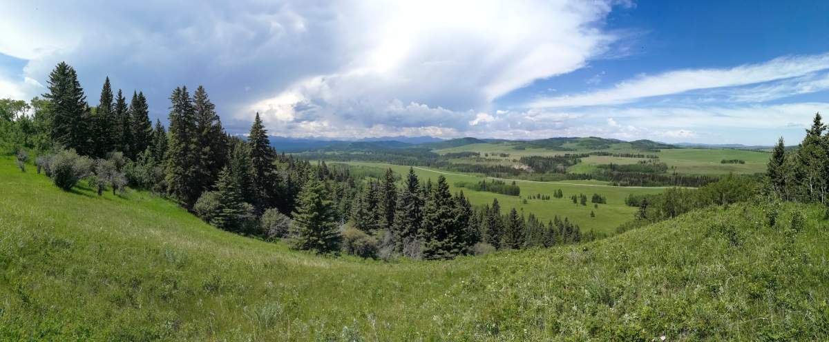 White Moose Ranch on Thursday, June 21, 2018.