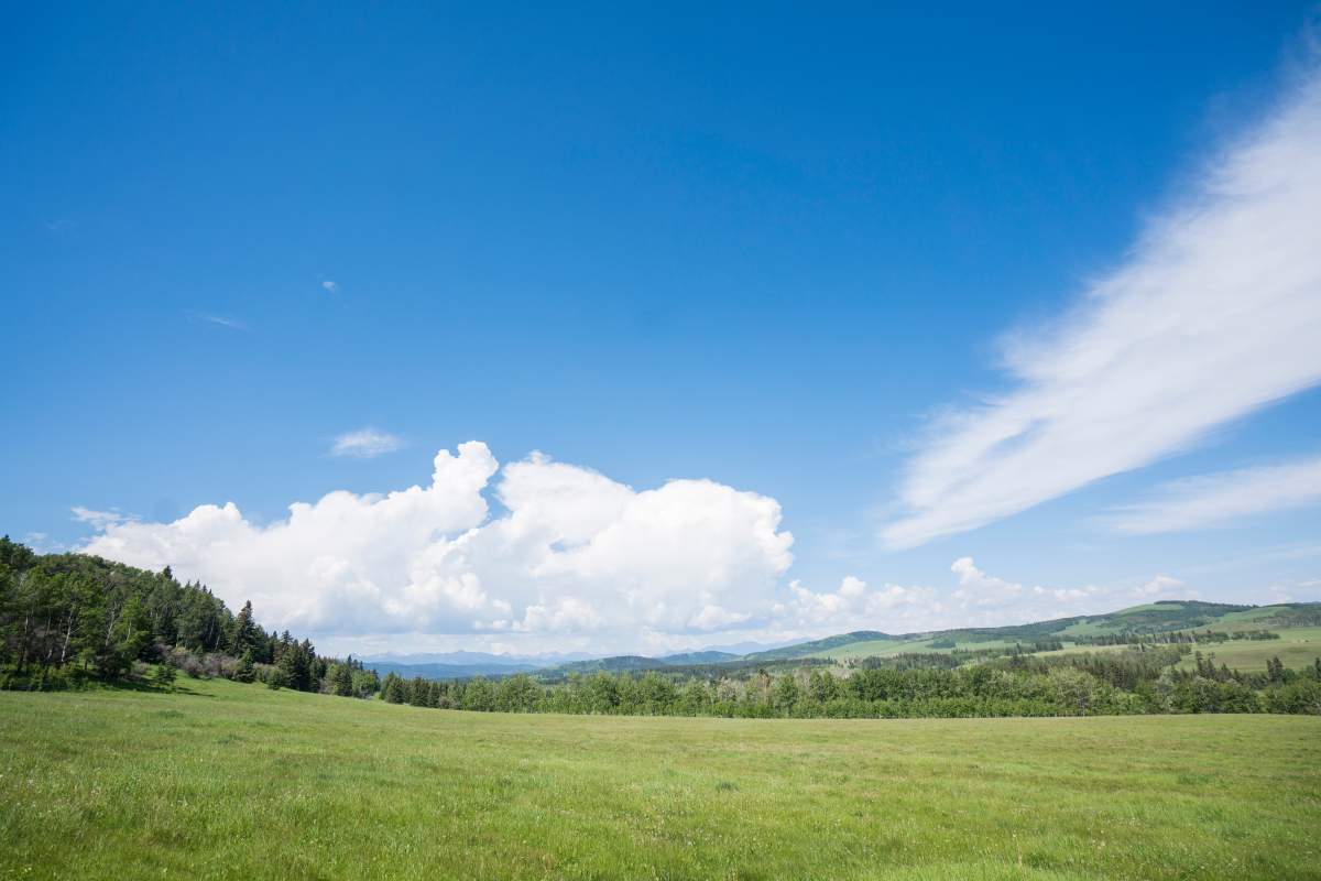 White Moose Ranch on Thursday, June 21, 2018.