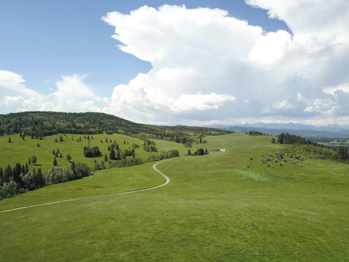 White Moose Ranch on Thursday, June 21, 2018.  