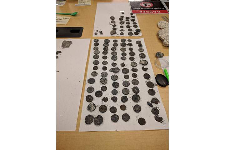 An assortment of items spewed from Ear Springs in Yellowstone National Park