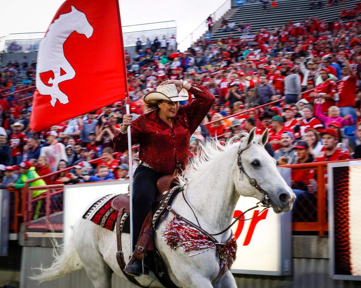 Calgary Stampeders touchdown horse Quick Six may be allowed to charge down the sidelines at the 2018 Grey Cup.