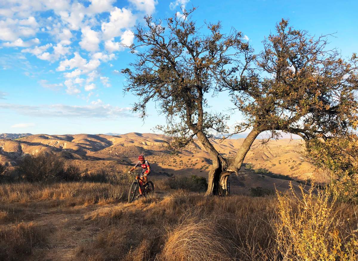 In this Sept. 30, 2018, photo, Cyril Jay-Rayon rides his mountain bike atop a hillside adjacent to Cheeseboro Canyon in the Santa Monica Mountains National Recreation Area near Agoura, Calif., within the Woolsey Fire burn area.
