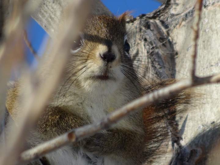 The Nov. 30 Your Saskatchewan photo was taken by Diane Kacher near Aberdeen.