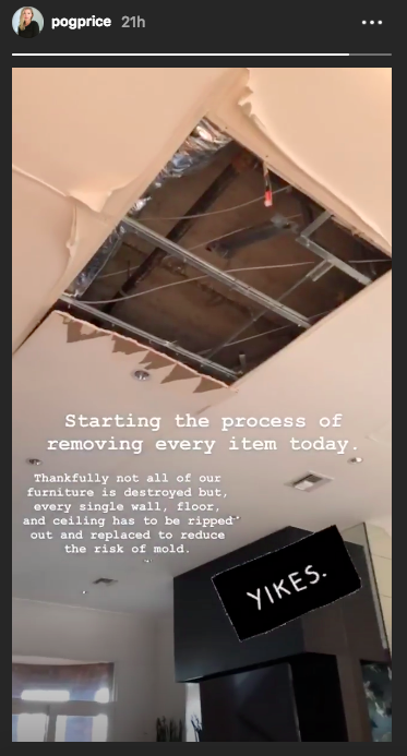 Frankie Muniz’s house flooded because his cat learned to turn on faucet - image