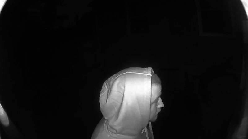 Police searching for prowler reported on Hamilton’s East Mountain - image
