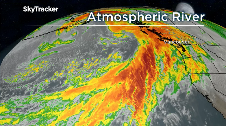 B.C. sees record temperatures in wake of balmy November storm - image