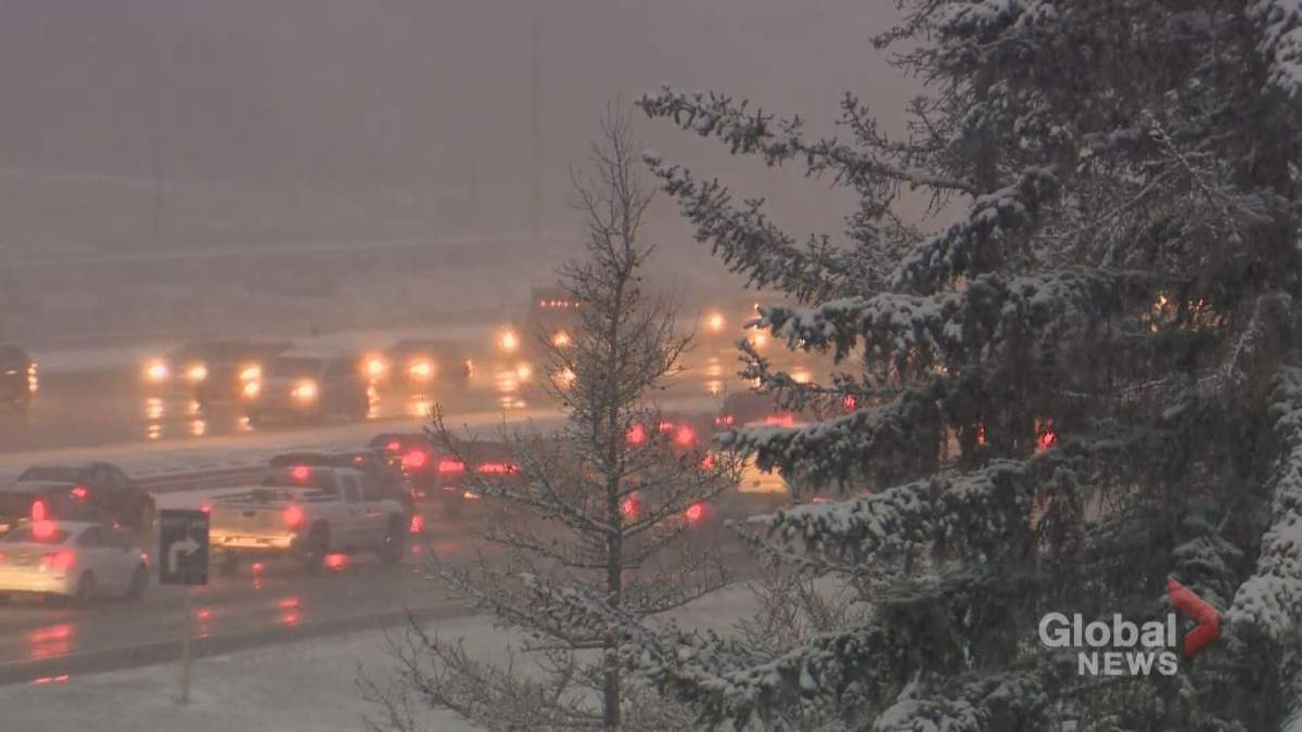 A snowfall warning was issued for Calgary and surrounding areas on Friday afternoon.