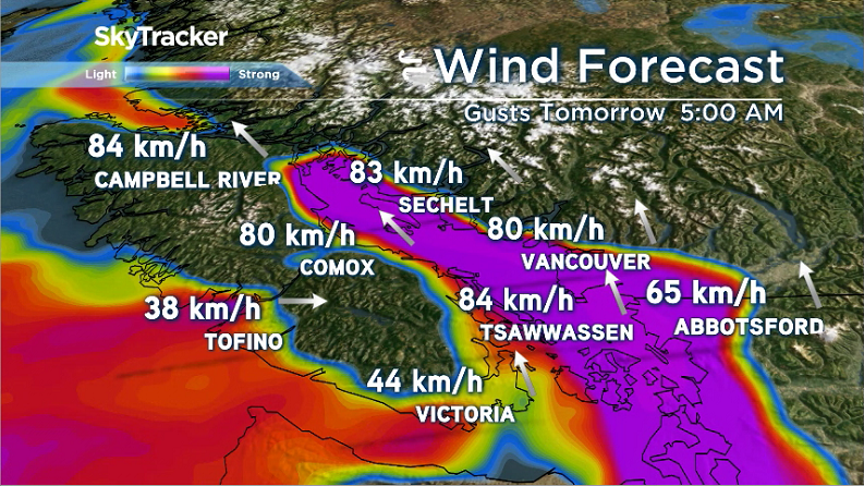 Atmospheric river brings heavy rain to B.C.’s south coast - image