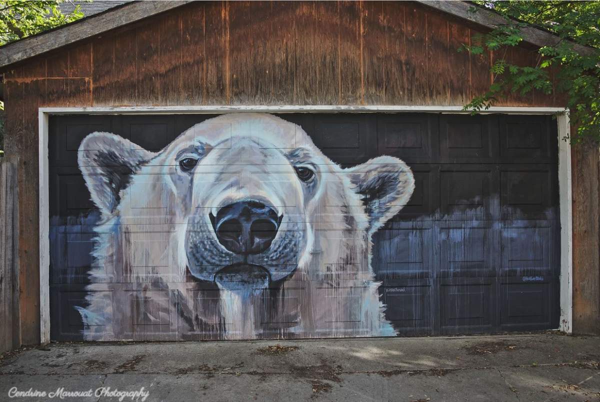 Photographer Cendrine Marouatt says Winnipeg's murals like Kal Barteski's "Back Alley Arcitc" are a big inspiration.