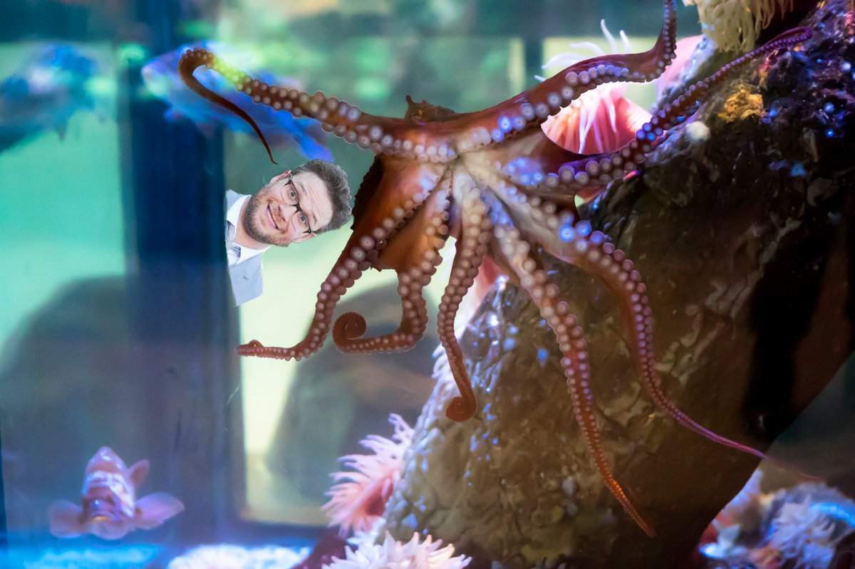 ceph rogen