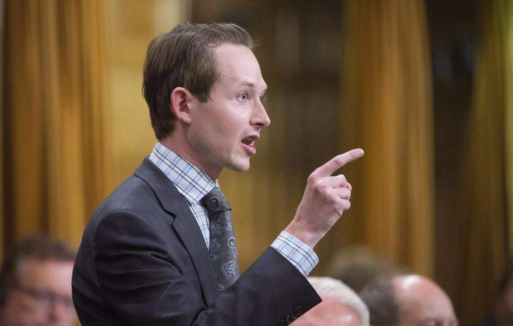 Conservative MP Michael Cooper rises during question period on Parliament Hill in Ottawa.