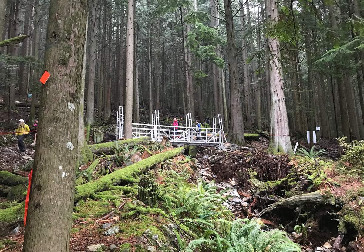 A replacement bridge built on the Baden Powell Trail after stormy weather caused washouts earlier this month.