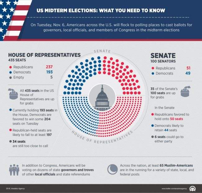 U.S. midterm elections: What you need to know