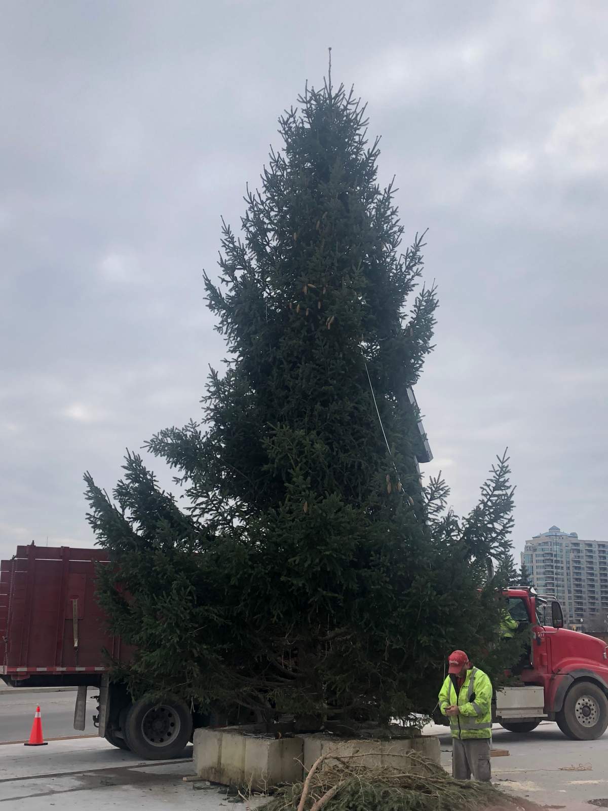 Meridian Place's 30-foot-tall Christmas tree will be lit up this Saturday, Nov. 17.