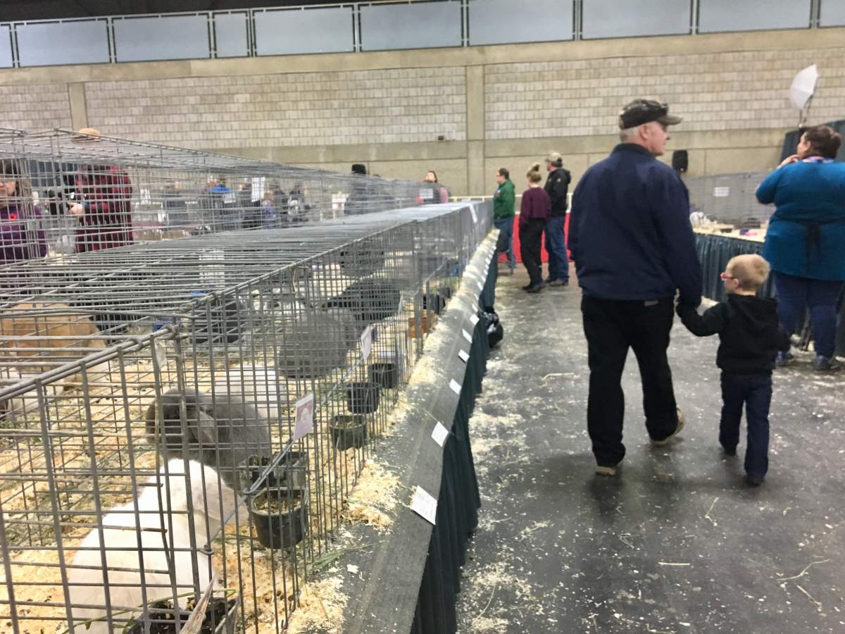 File: Farmfair International returns to Edmonton November 2021.