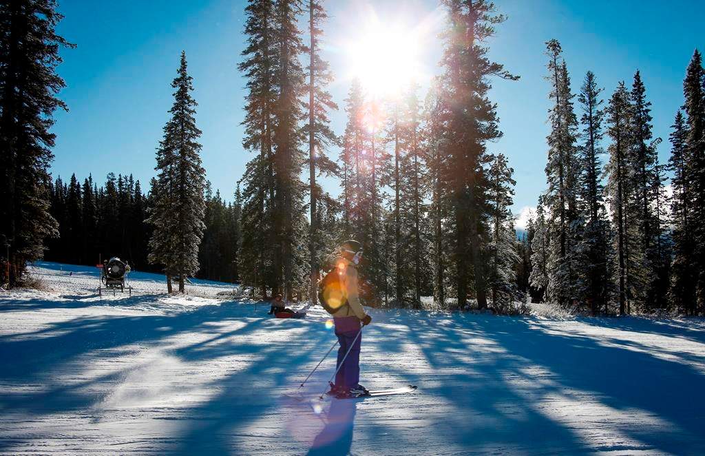 A skier passes trees on a ski run at Lake Louise ski resort in Lake Louise, Alta., Saturday, Nov. 24, 2018.