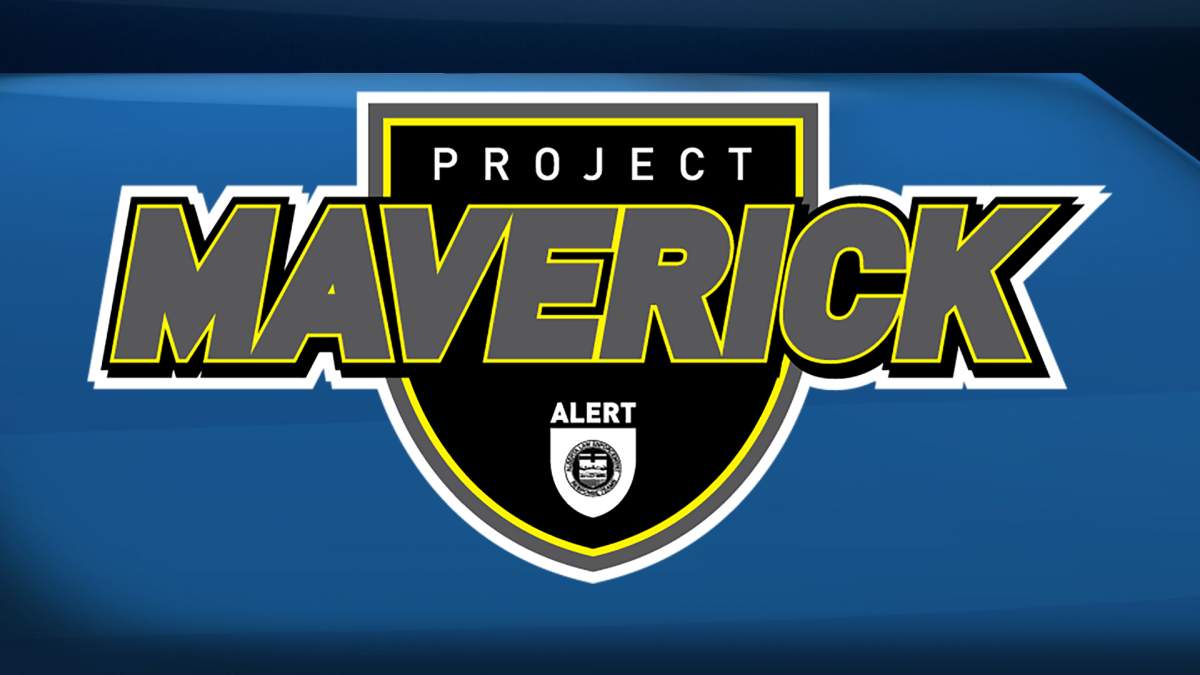 Project Maverick logo.