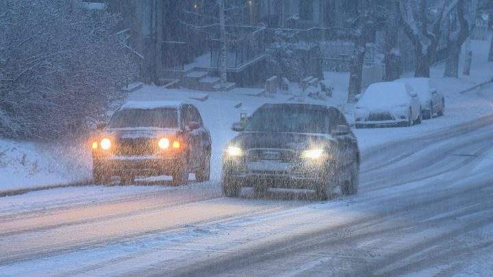 Snowy blanketed Calgary on Friday.