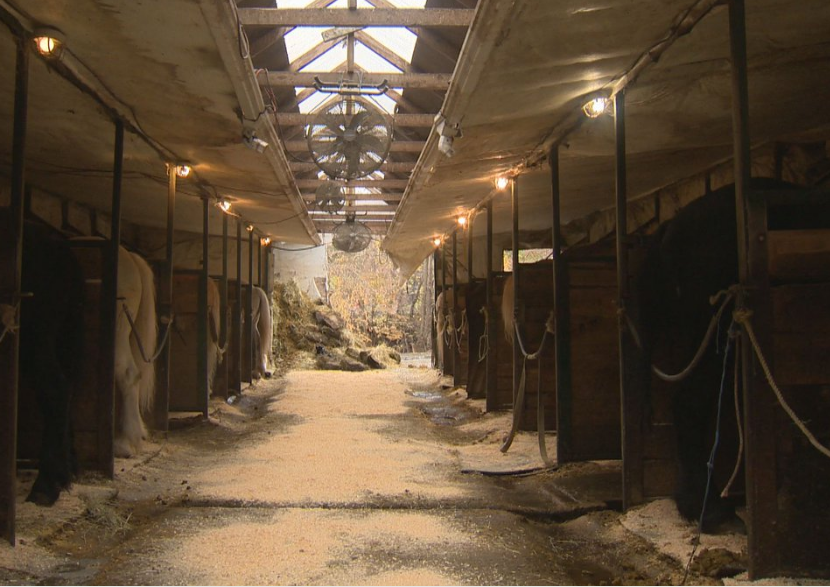 File photo of horse stables in Montreal.