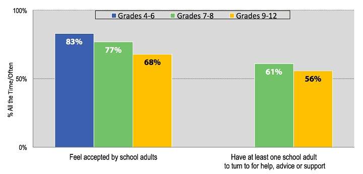 TDSB census shows mental well-being, physical health of students on the decline - image