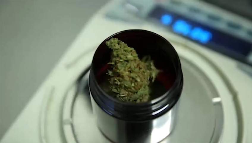 Cannabis shortages continue nearly one month after legalization. 