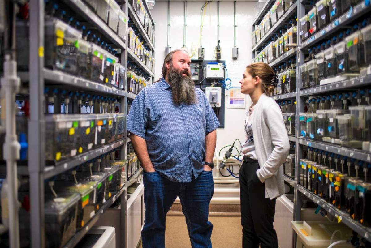 Ted Allison (L) is an associate professor in the Department of Biological Sciences. Michele DuVal (R) recently completed the PhD portion of the Faculty of Medicine & Dentistry’s MD/PhD program under the supervision of Allison.