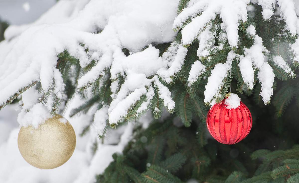 FILE: Ornaments hang on a snow covered tree in Montreal, December 24, 2016. 