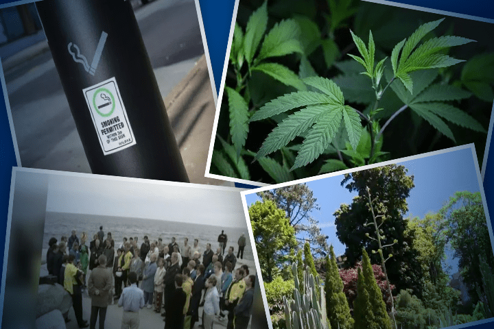 Here are some of Nova Scotia's top news stories of 2018.