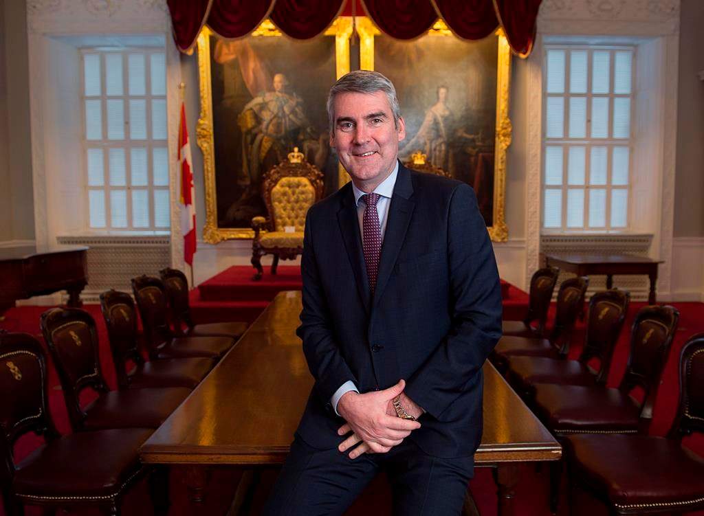 Premier Stephen McNeil poses for a photo before a year-end media interview in the Red Chamber at the legislature in Halifax on Wednesday, Dec. 19, 2018.