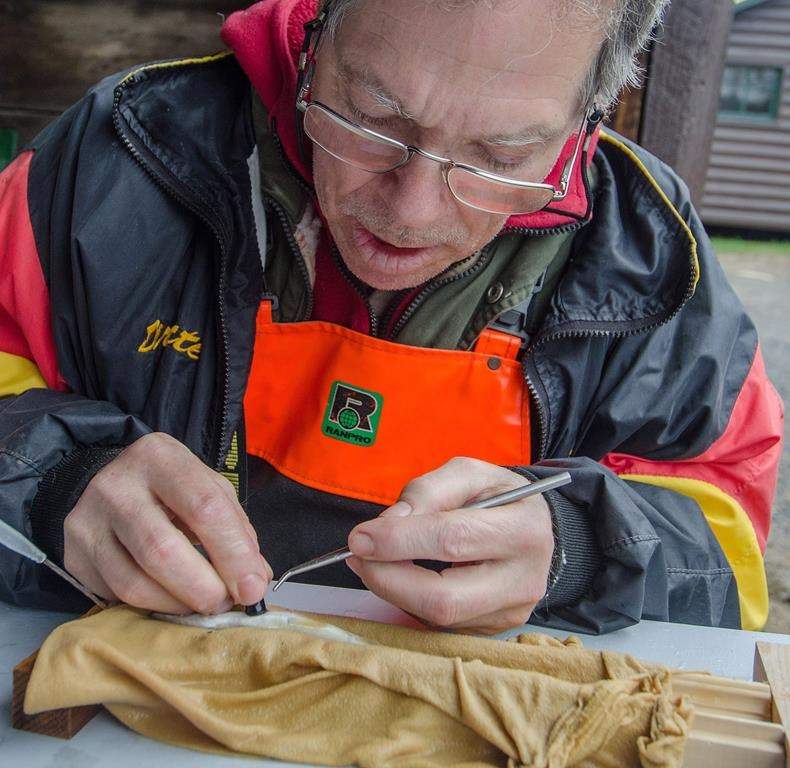 Biologist Steve Tinker surgically implants a sonic transmitter in an Atlantic salmon smolt that will track its travels through the ocean.