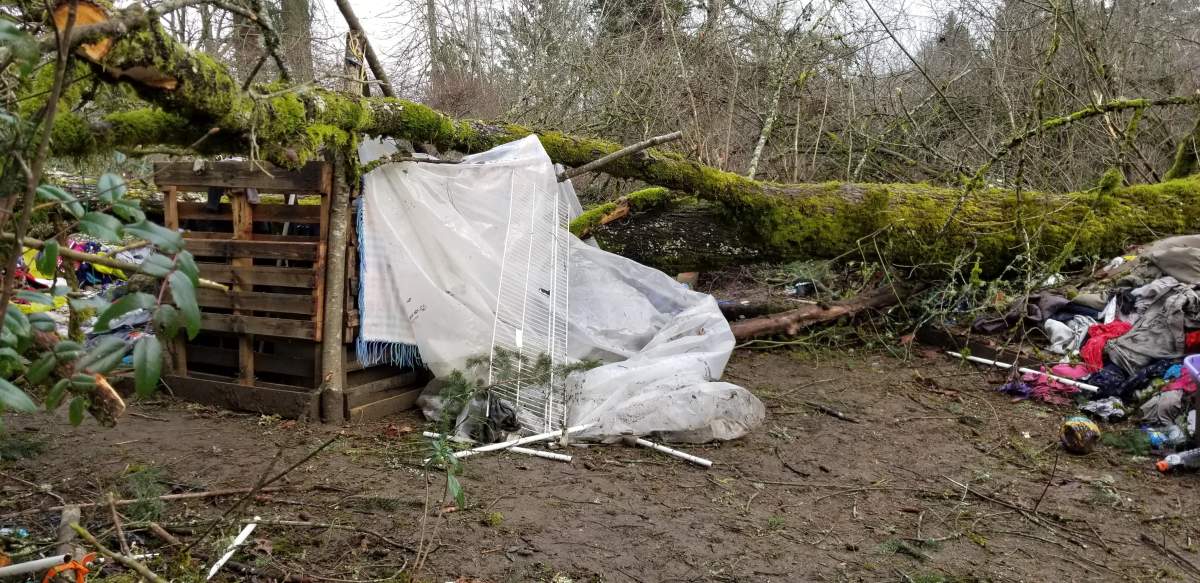 A woman was killed when a tree fell on the tent she was in during the storm on Thursday. Credit: Allan Felker