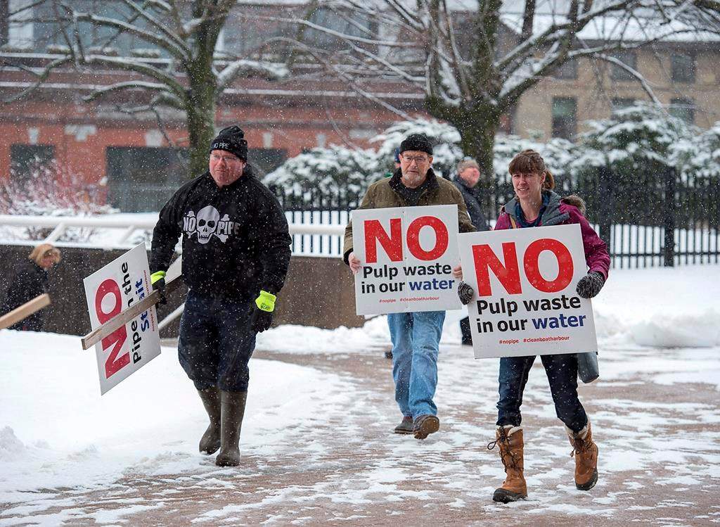 Protesters gather outside Nova Scotia Supreme Court in Halifax on Tuesday, Dec. 18, 2018 to show their opposition to plans to dump effluent from a mill into the Northumberland Strait. THE CANADIAN PRESS/Andrew Vaughan