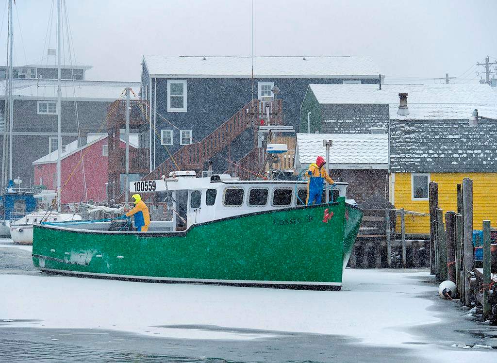 The lobster fishing boat Cassie R heads to the dock in Eastern Passage, N.S. in a light snowfall on Friday, Dec. 28, 2018.
