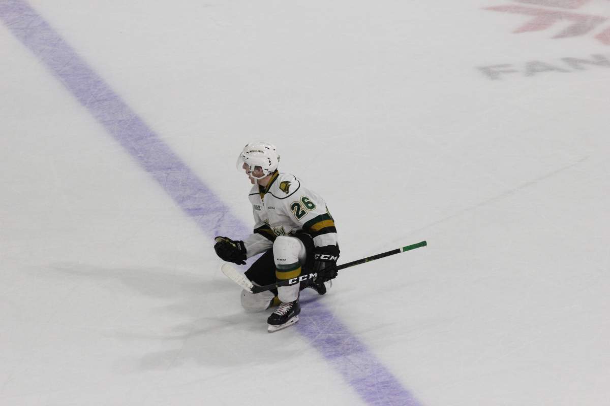 London Knights close out 2018 with a 7-1 stomping of the Sarnia Sting - image