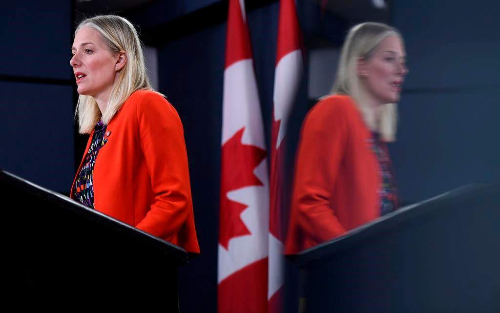 Minister of Environment and Climate Change Catherine McKenna called on federal politicians to vote to declare a climate emergency ahead of the Monday night vote.