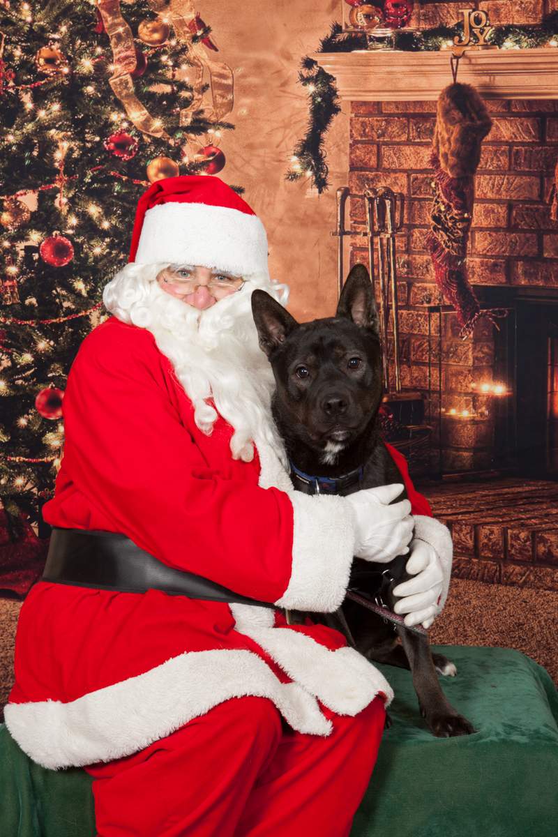 Lincoln visits Santa at the shelter on Logan.