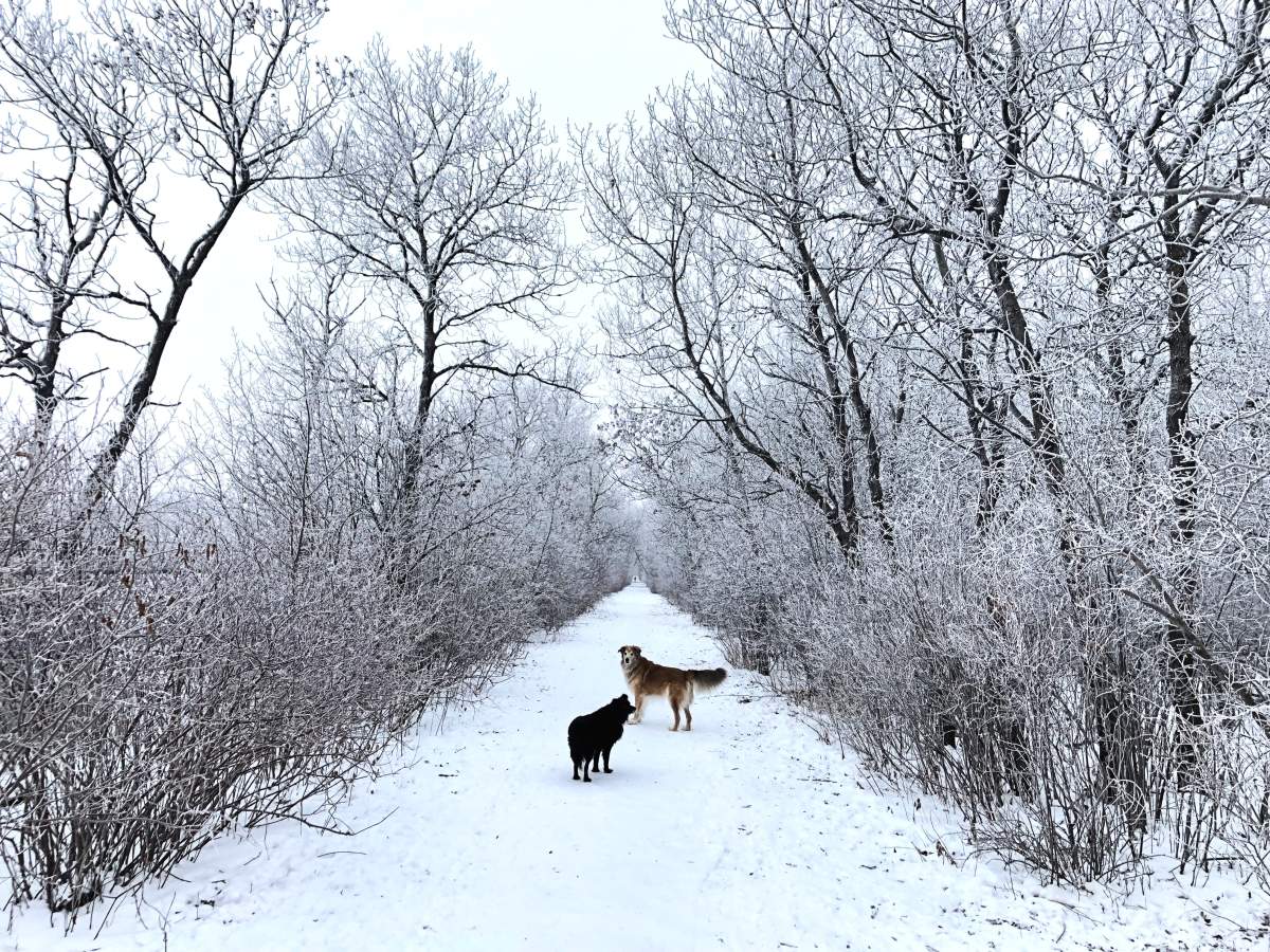 Winnipeg, Manitoba.