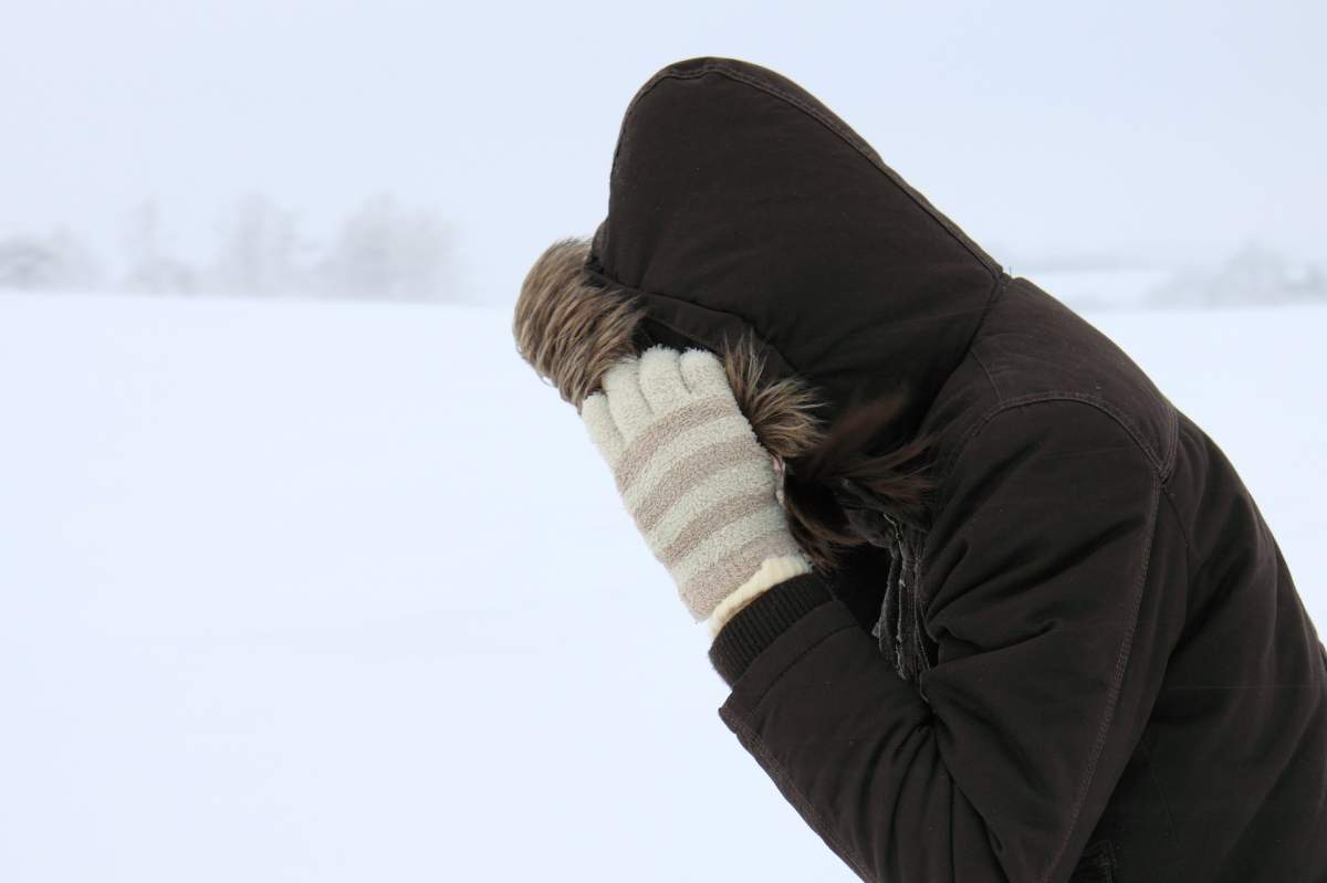 Several areas in Quebec are expected to see wind gusts up to 90 kilometres per hour.