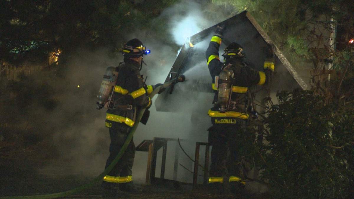 Kelowna urban beehive destroyed in fire Thursday - image
